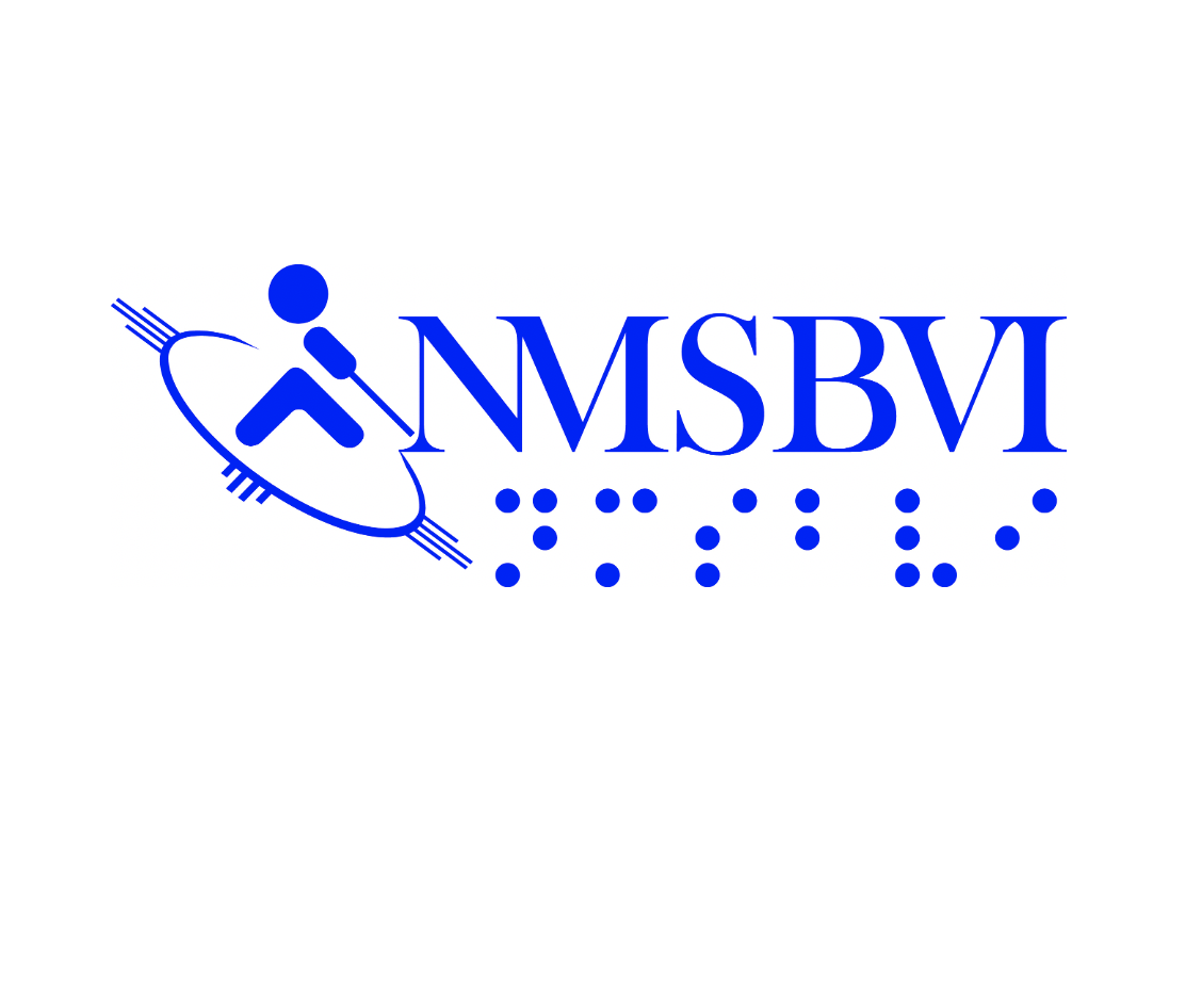 NMSBVI logo