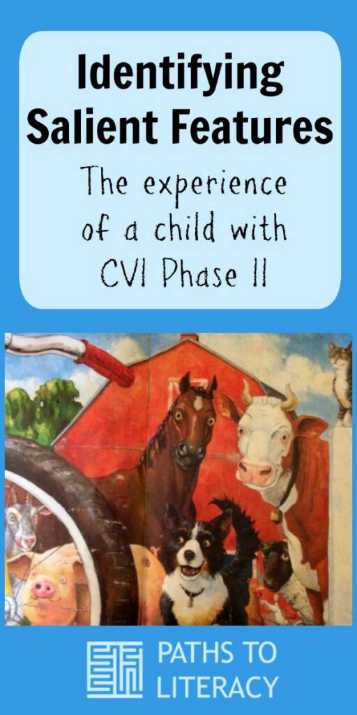 Collage of identifying salient features: the experience of a child with CVI Phase II