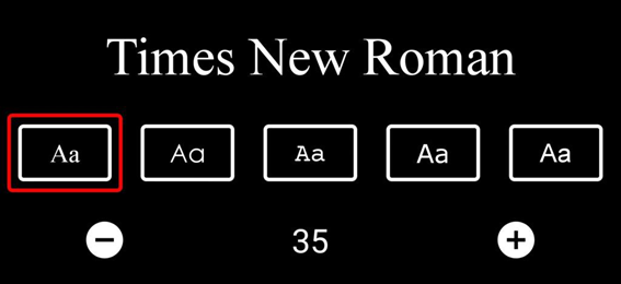 Screen shot of font and sizing options, this one showing Times New Roman.