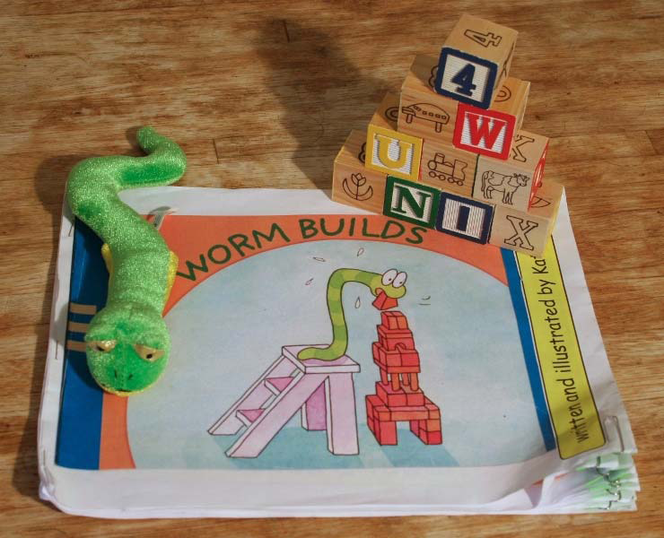 Picture of assessment materials, including book, stuffed animal, and blocks