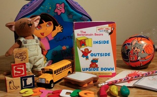 Picture of items in a literacy kit, including books, blocks, and toys