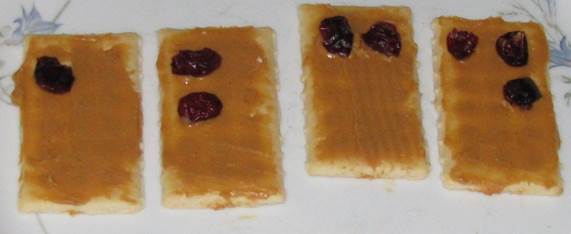 peanut butter is spread on crackers and raisins are placed in the position of braille dots