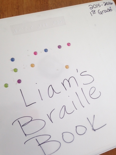 Liam's Braille Book Record book