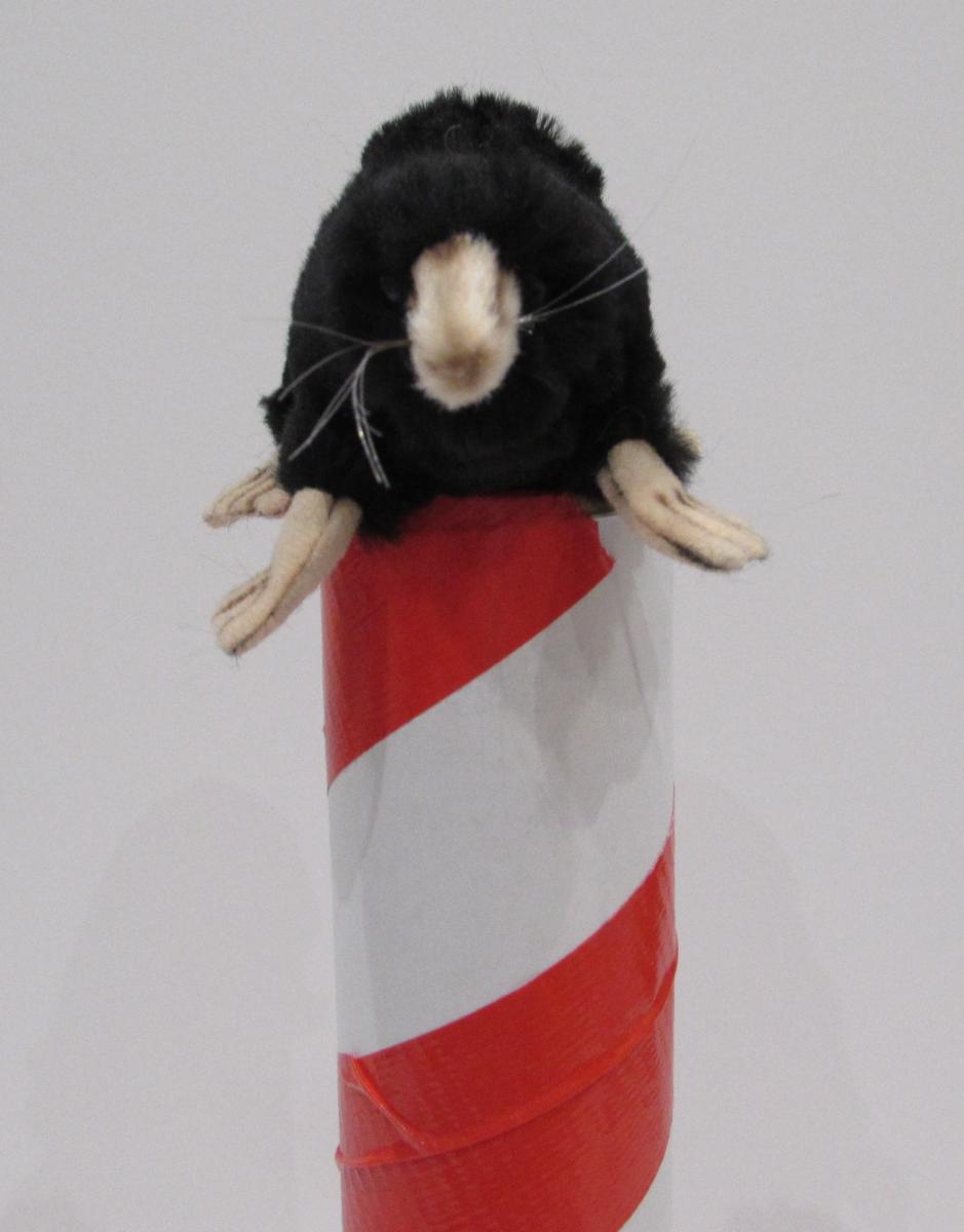 Mole on pole