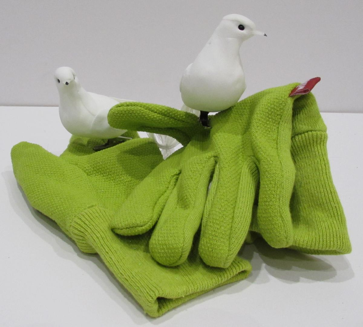 Doves on gloves