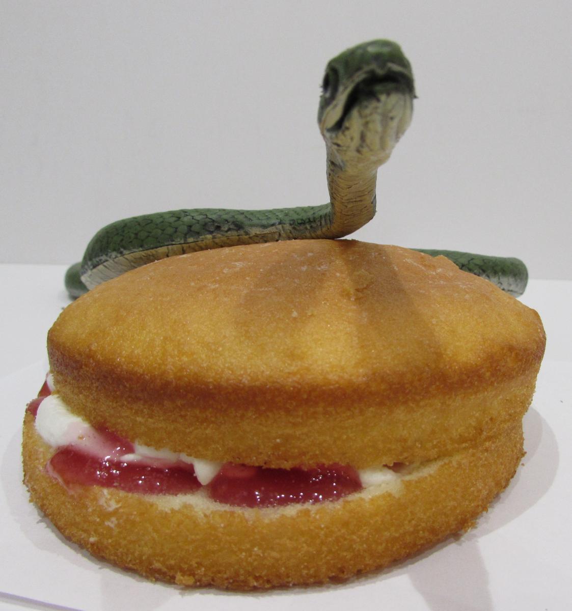 Snake on cake