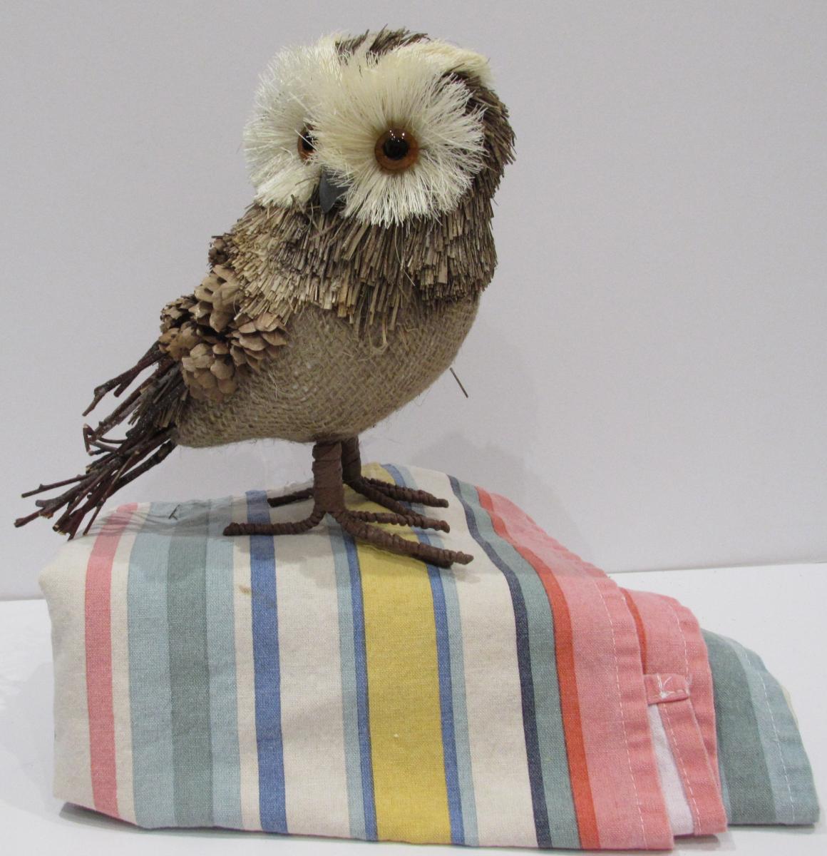 Owl on towel