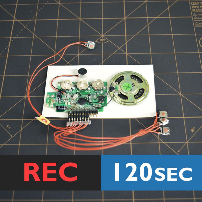 3 button 120-second recording device