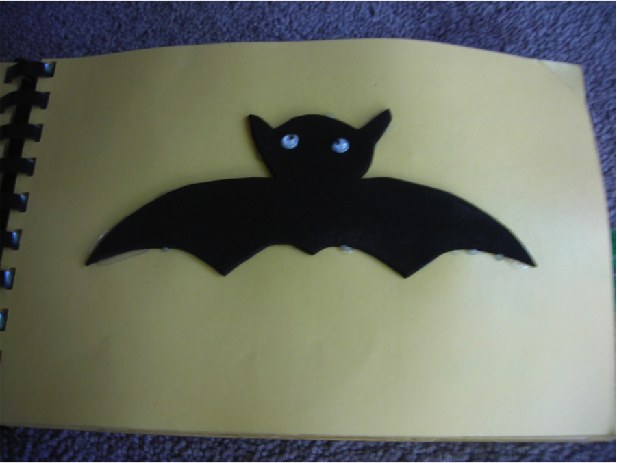 picture of a bat