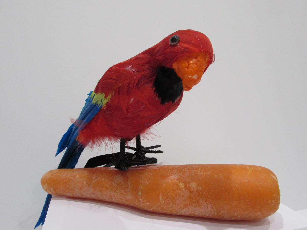 Parrot on carrot