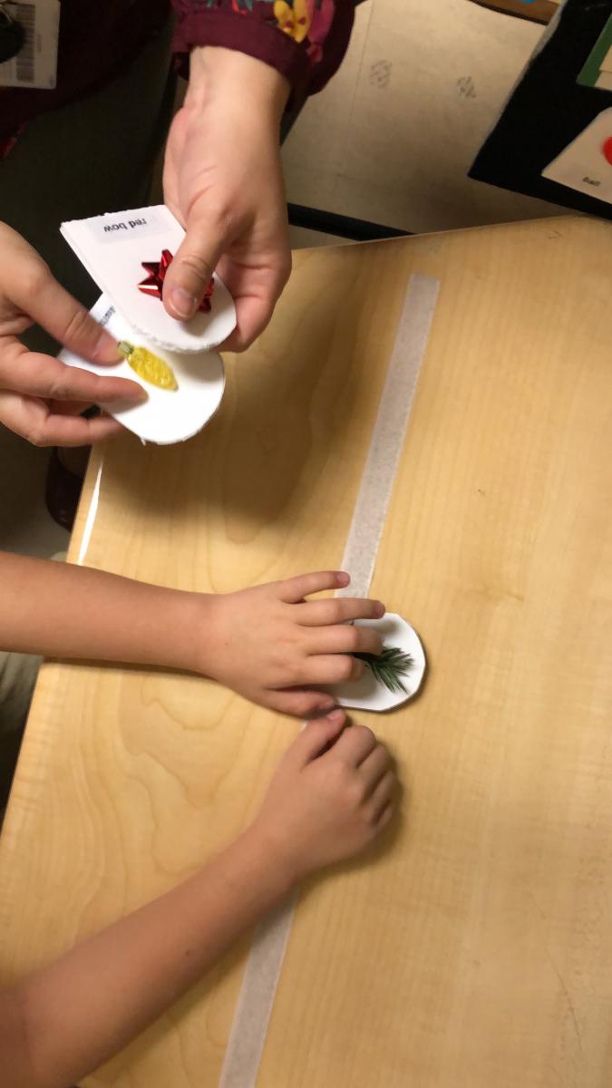 Reviewing Tactile Connections cards