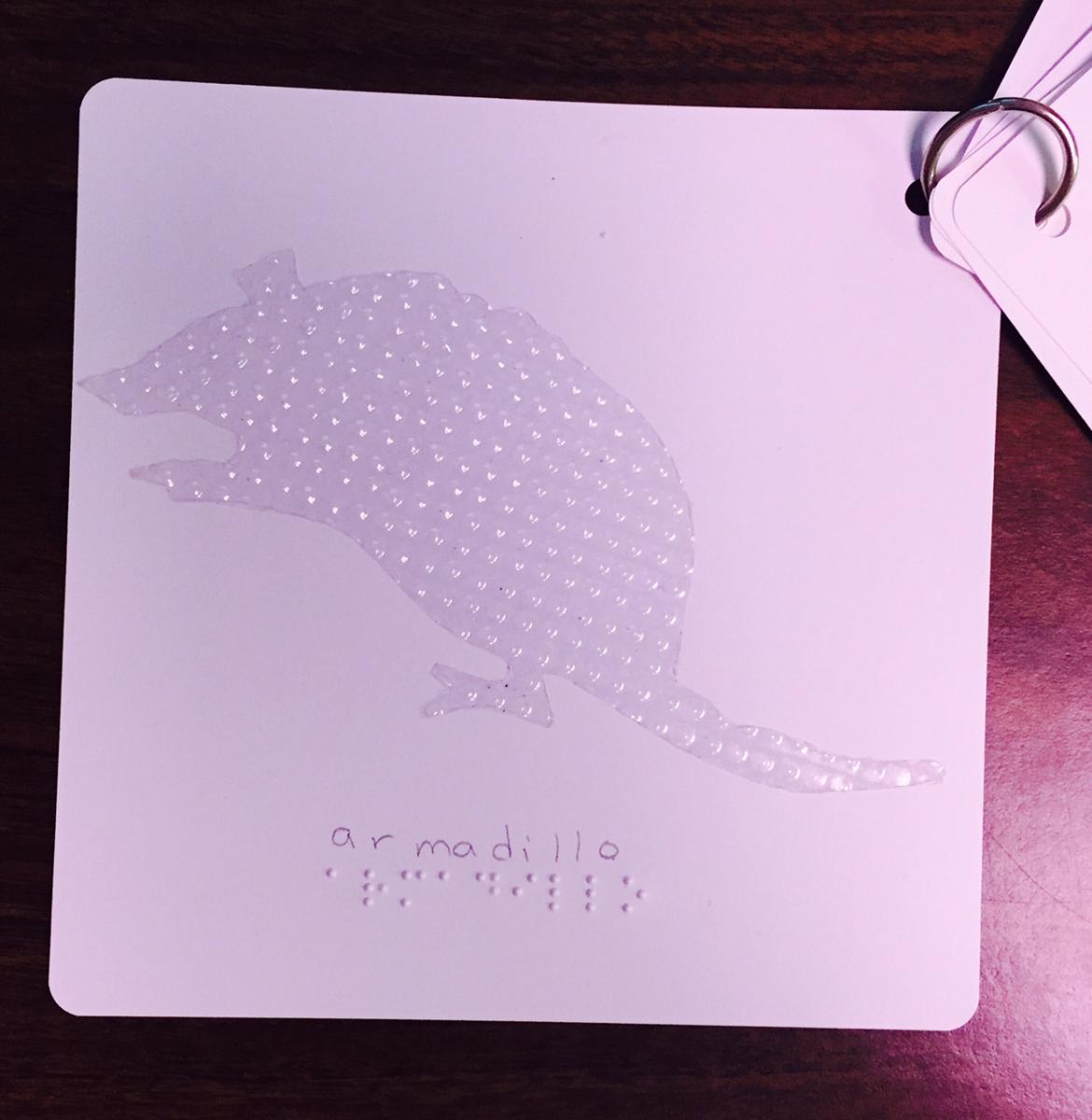 alphabet card with an armadillo