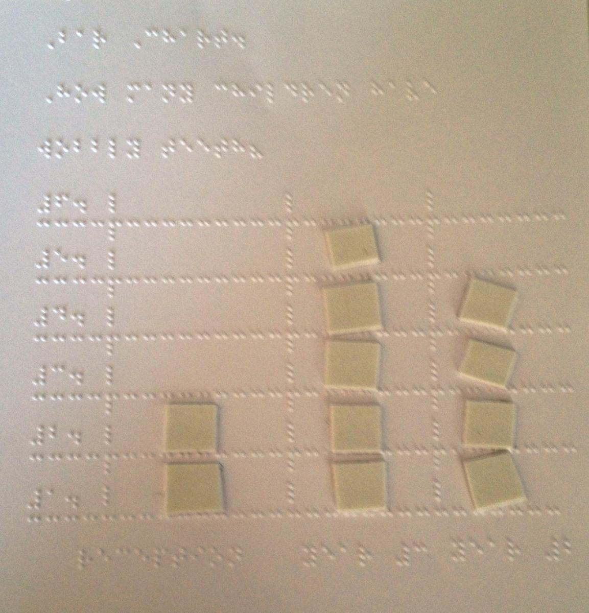 tactile bar chart in braille