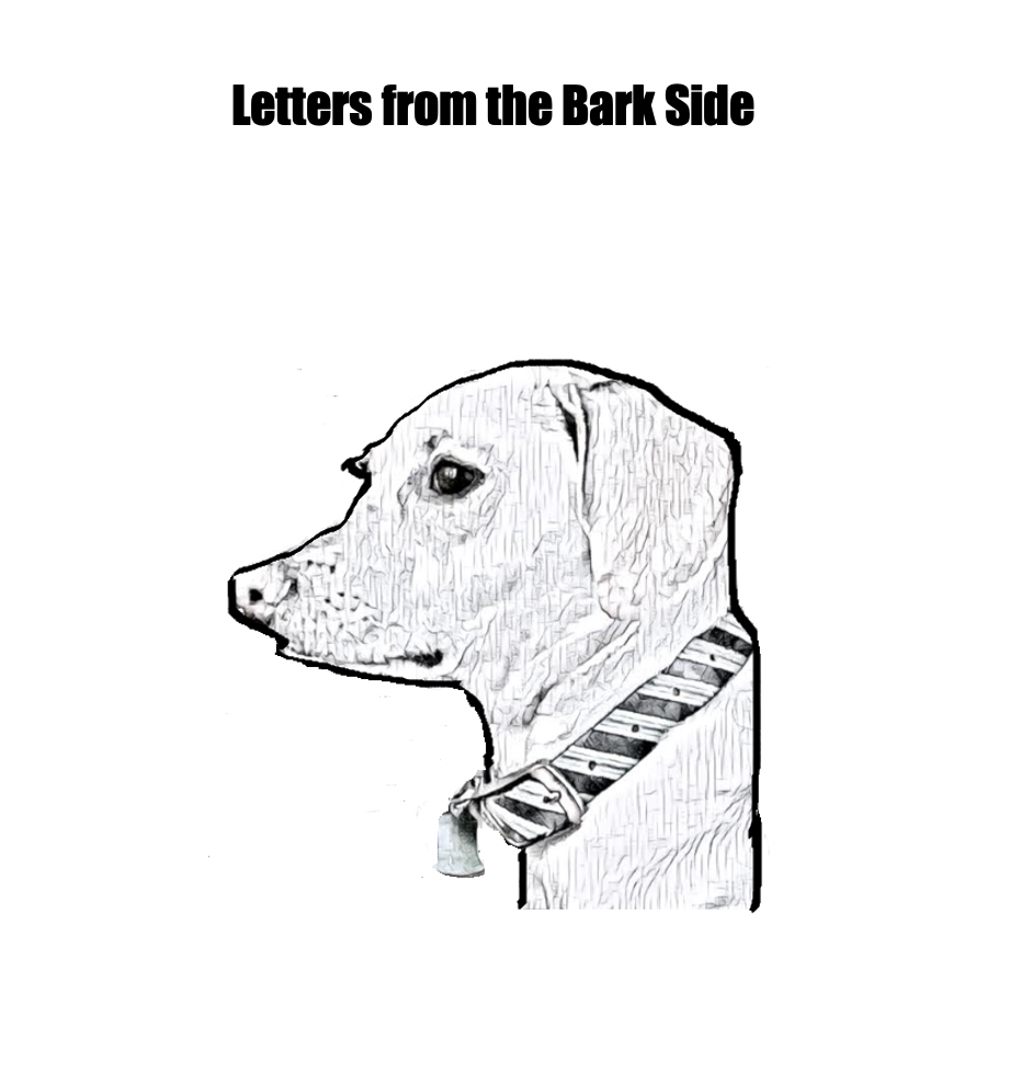 Text: Letters from the Bark Side with sketch of dog's head