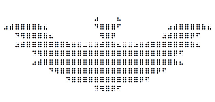 bat braille design