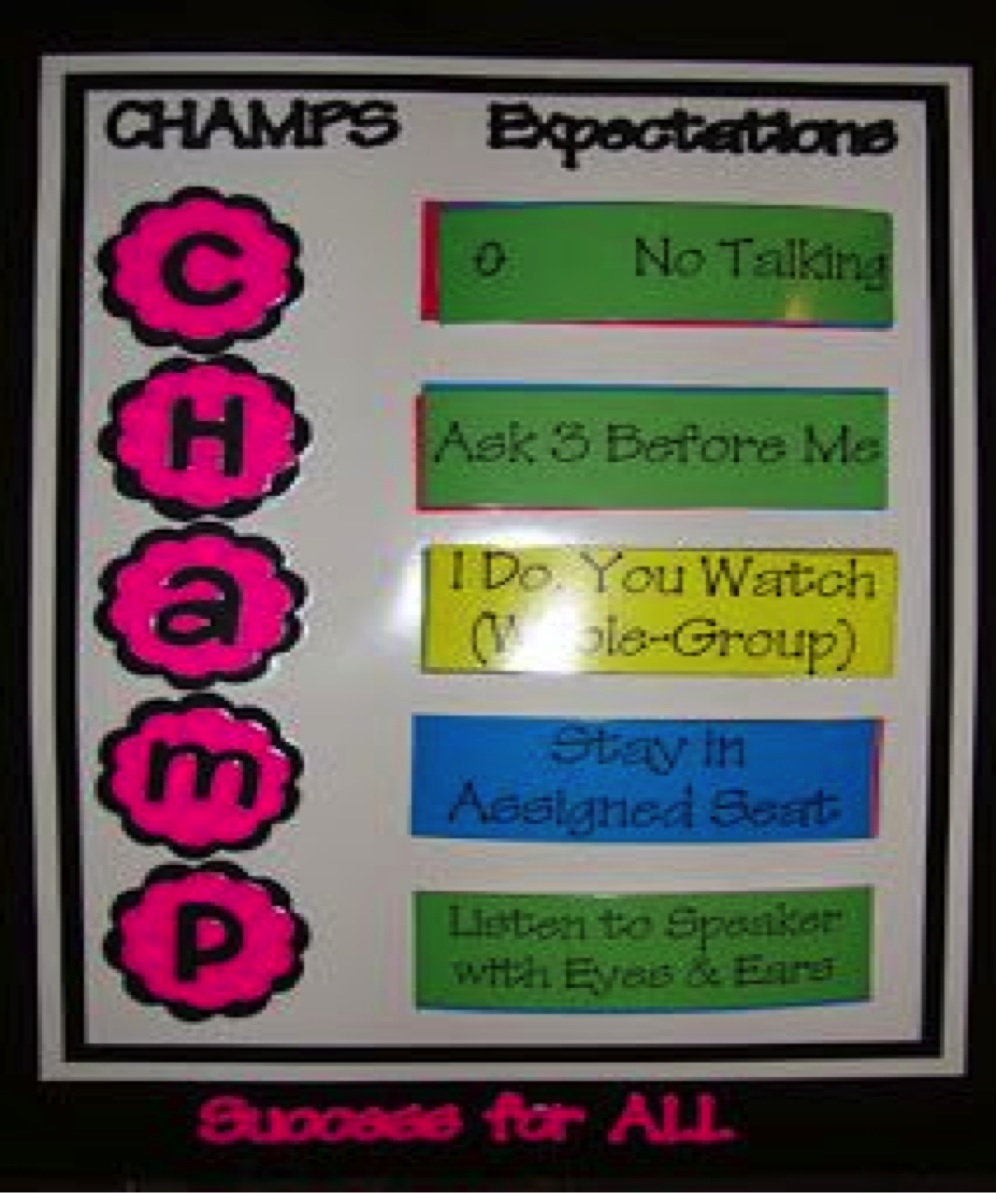 Making Positive Behavior Supports Accessible To Students With Visual 
