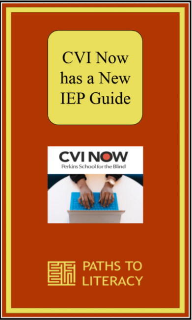 CVI Now IEP Guide Title with a picture of hands typing on a keyboard