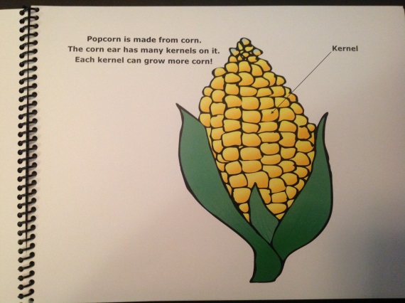 an ear of corn with a kernel labeled and explanatory text