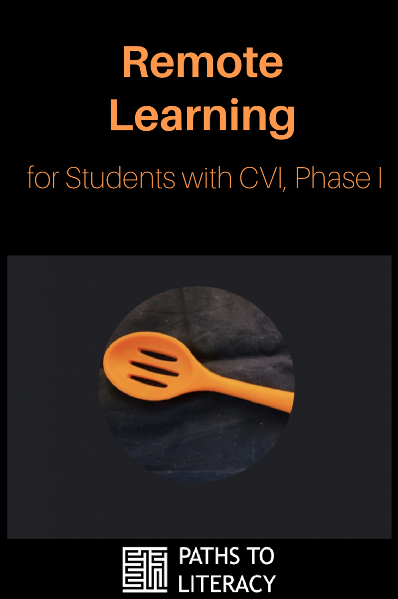 Collage of Remote Learning for students with CVI
