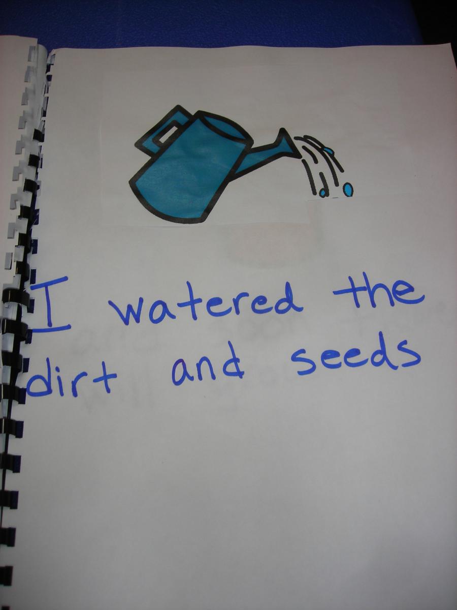 Watered dirt and seeds