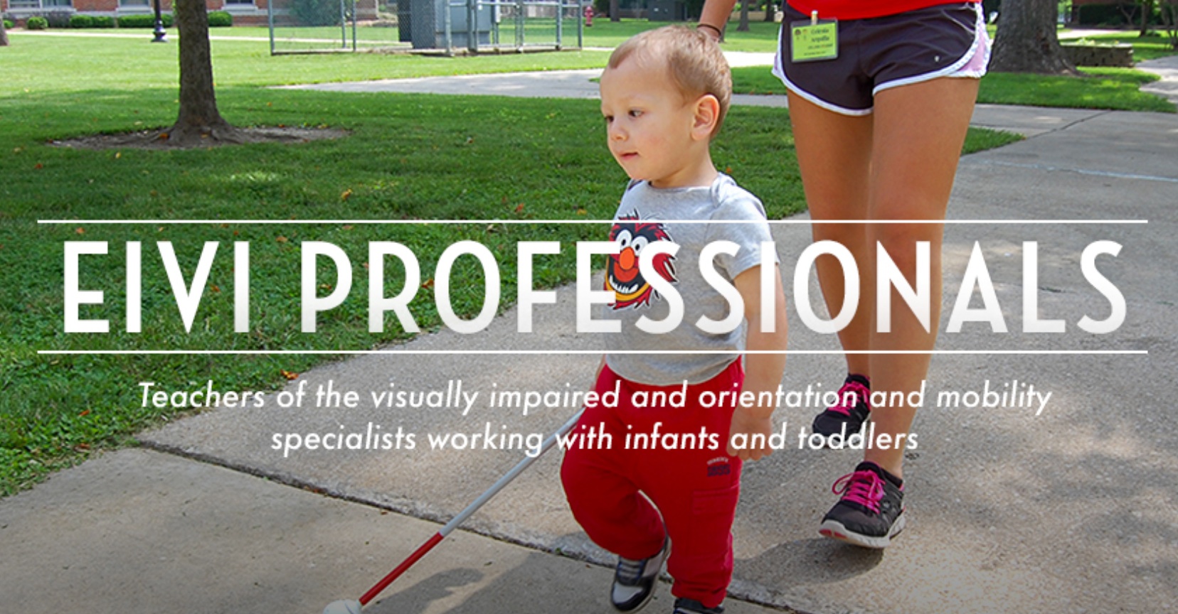 Early Intervention Visual Impairment Professionals Paths to Literacy
