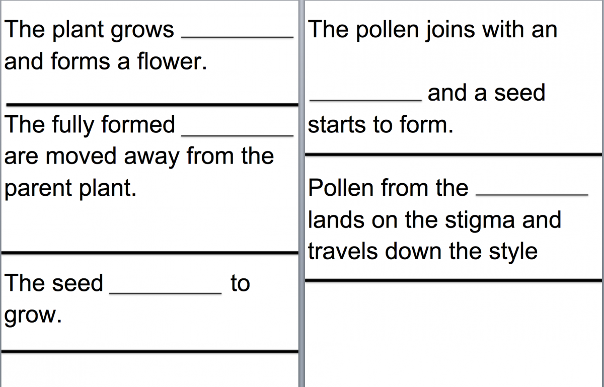 Worksheet to fill in the blank