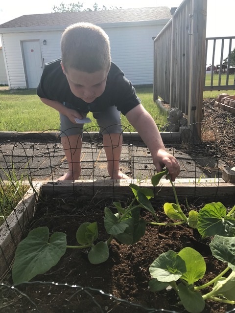 Liam touching the plants