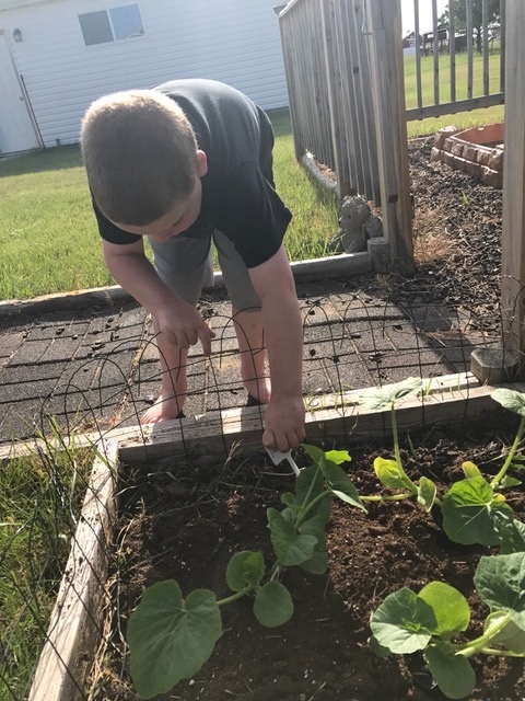 Liam labeling plants in the garden