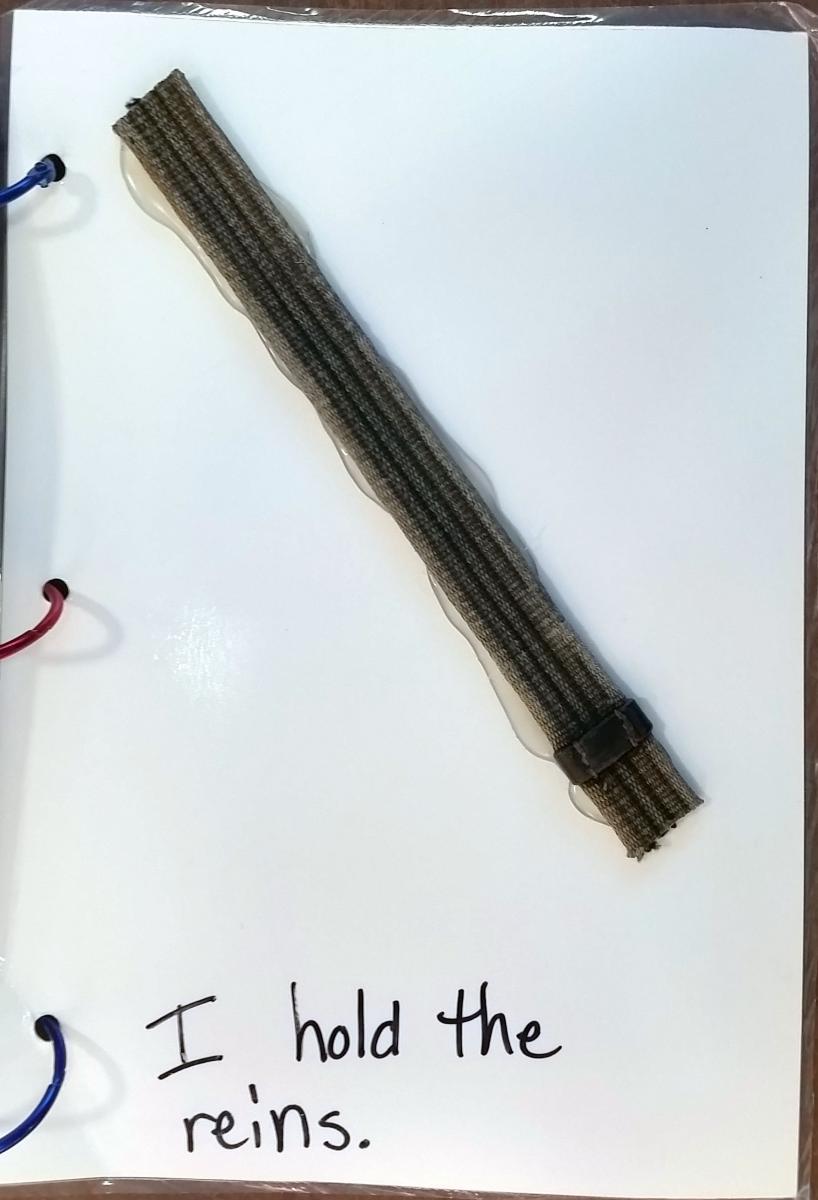 Click to view reins. I hold the reins