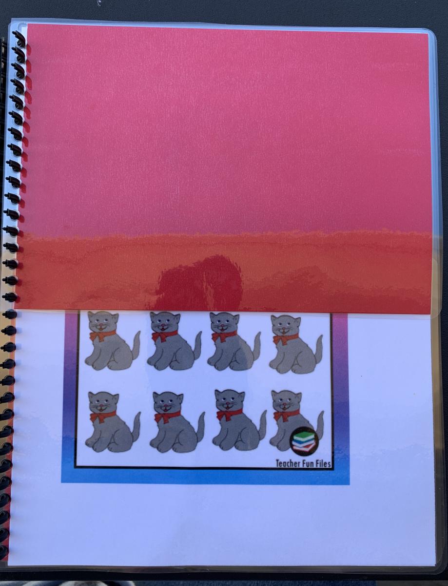 Pictures of 10 cats at the bottom of the page.  Top of the page is covered.