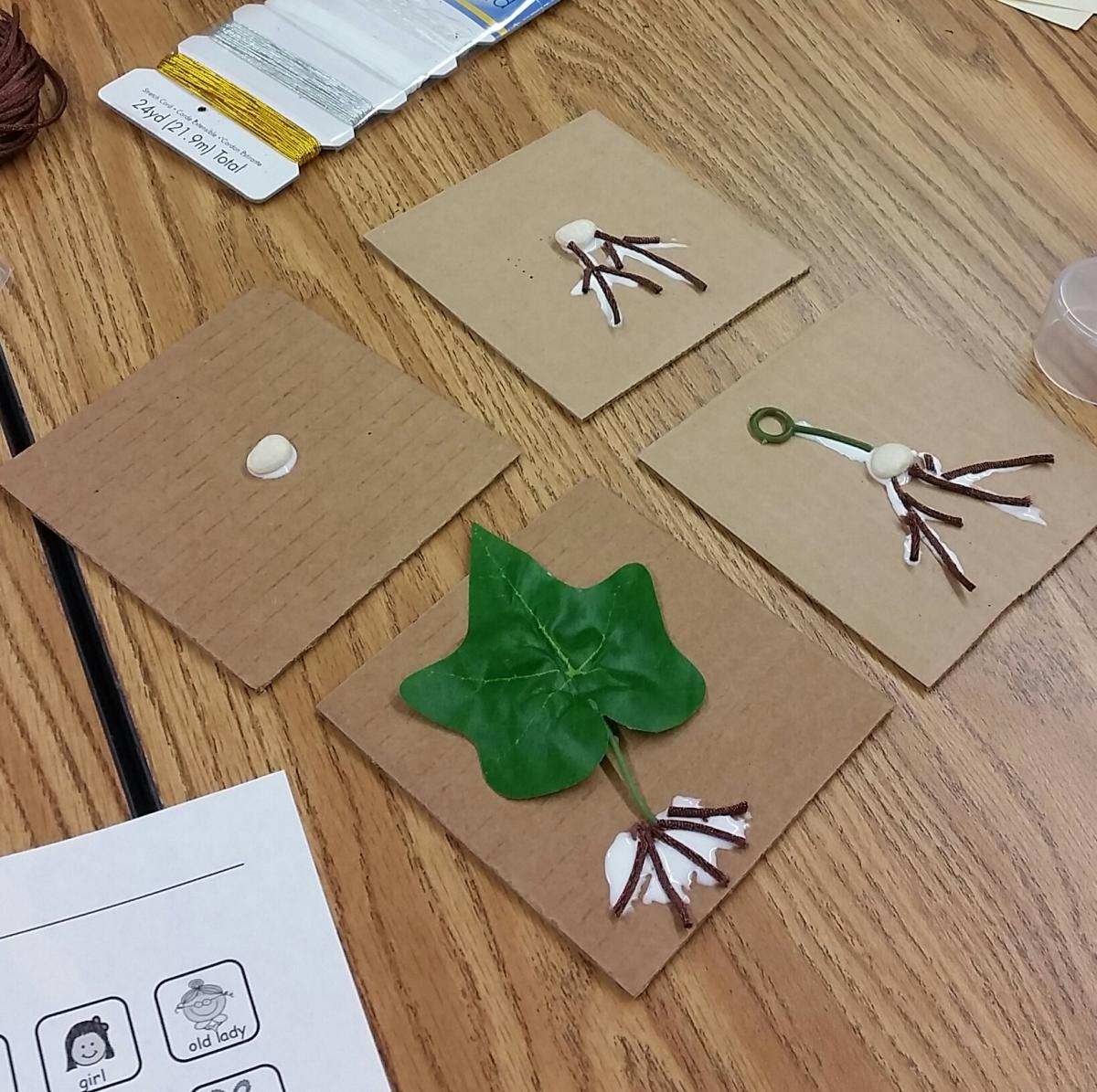 tactile cards with items depicting the growth from a seed to a plant