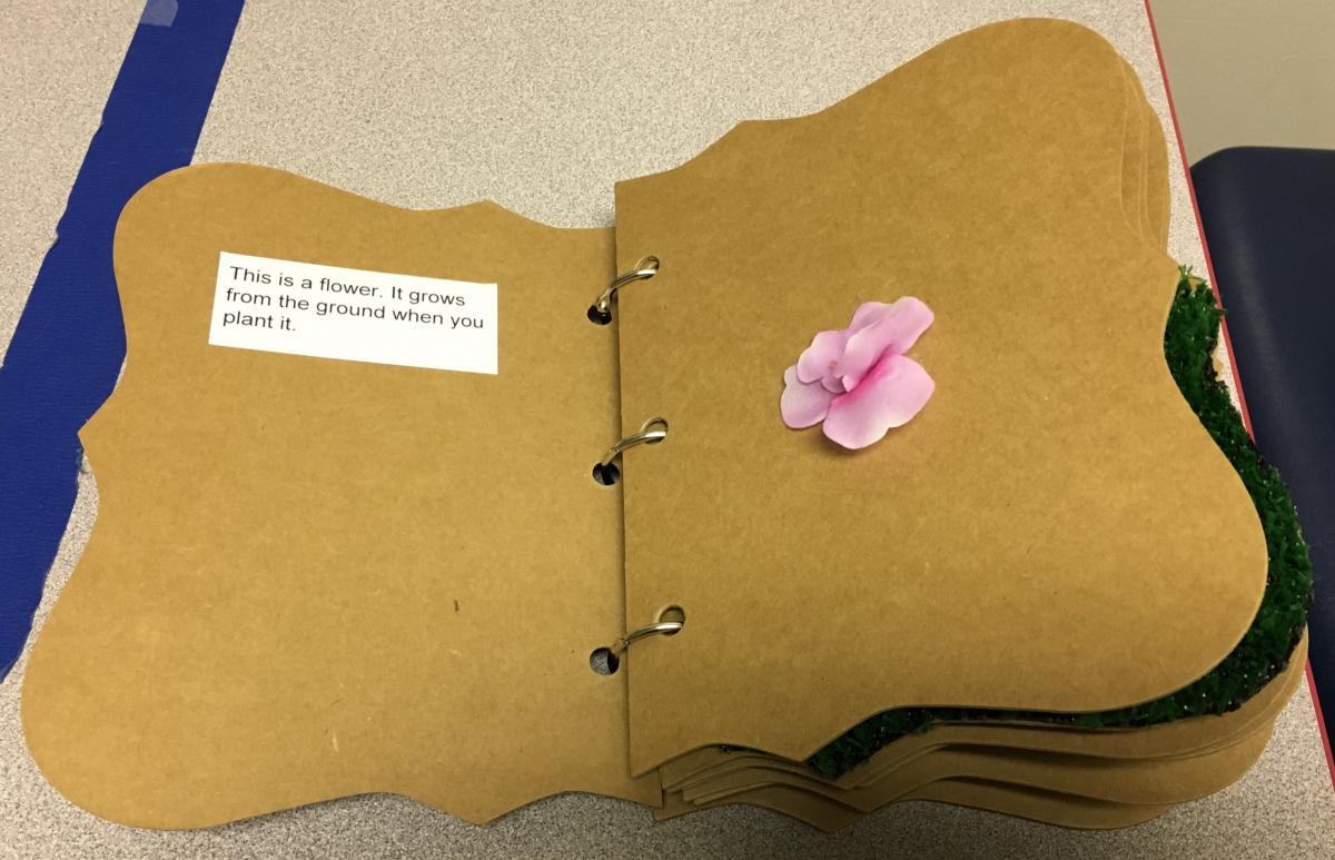 a board book with a fake flower glued to it and text describing the flower
