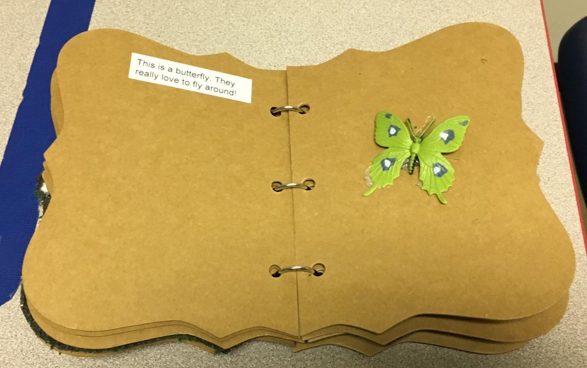 a page with a plastic butterfly and text describing it