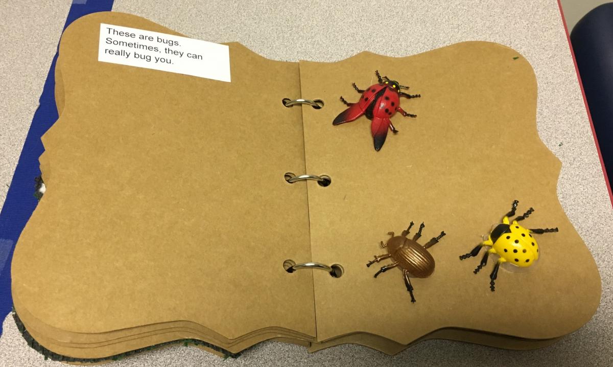 a page with plastic bugs glued to it with text describing them