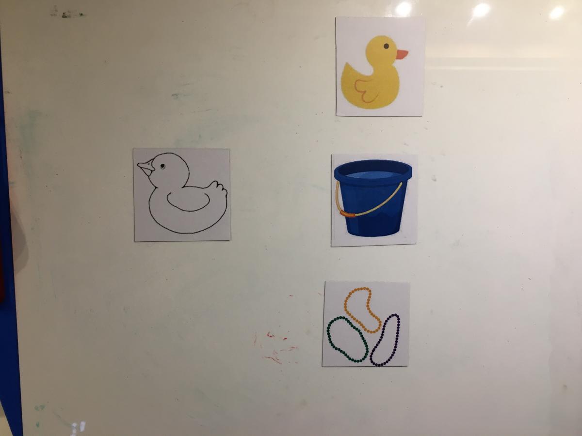 Picture cards of black & white duck, yellow duck, blue bucket, and colored beads