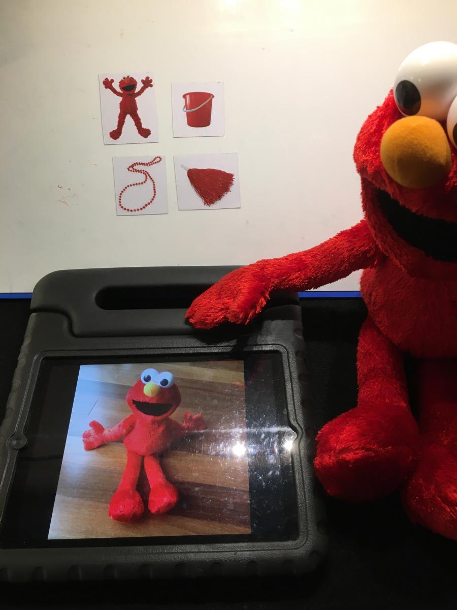 Elmo with photo of Elmo on iPad and picture cards