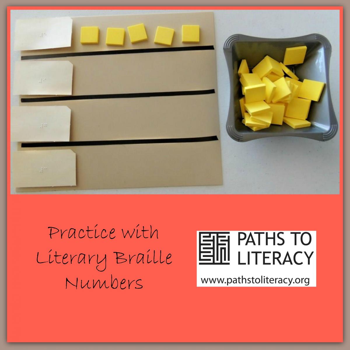 Practice with Literary Braille Numbers