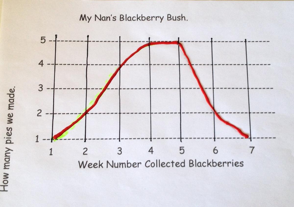primary large print graph