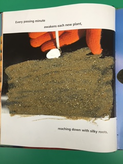 Page of sand on book