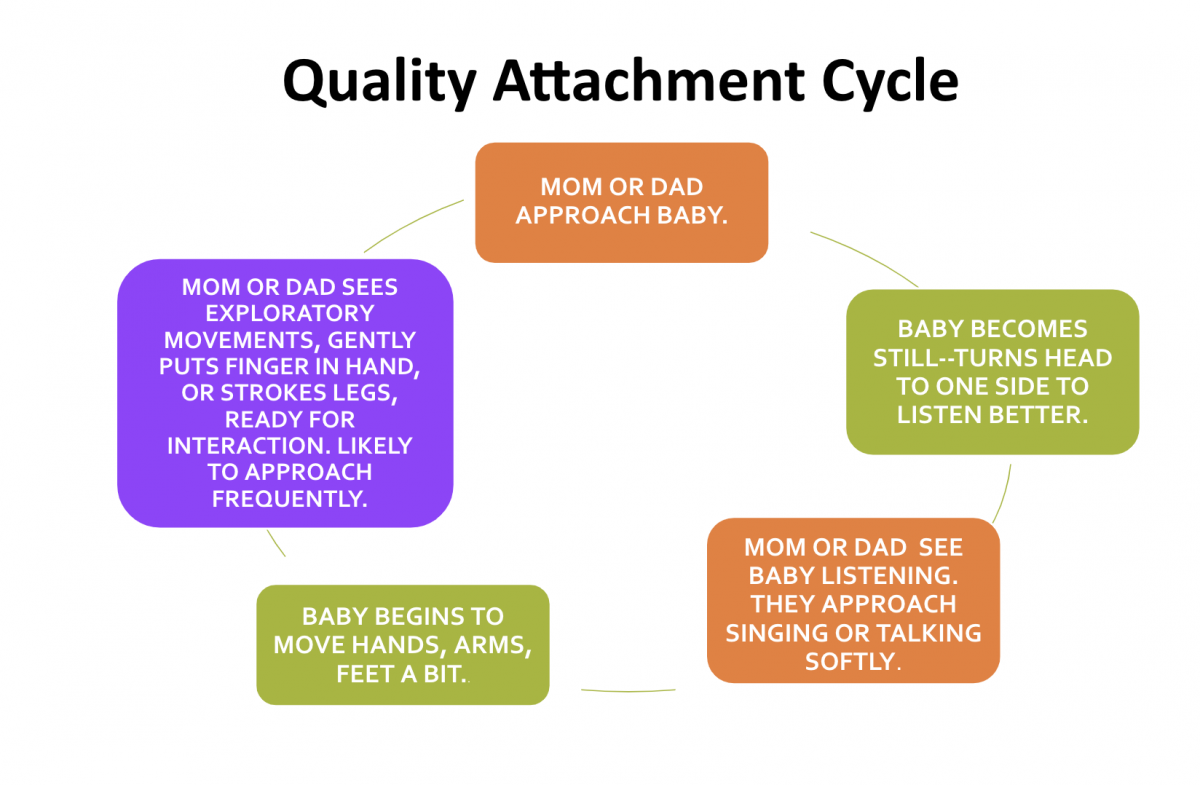 Attachment cycle
