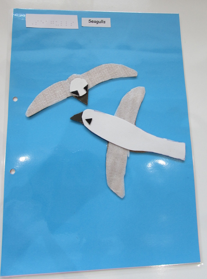 tactile seagulls on blue paper