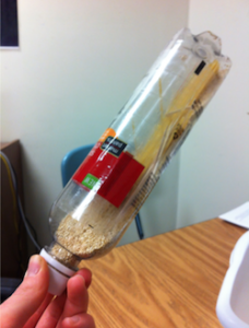 Sensory Rainstick for Students with Multiple Disabilities