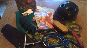 Kit includes a a helmet, chaps, a bit and a bridle