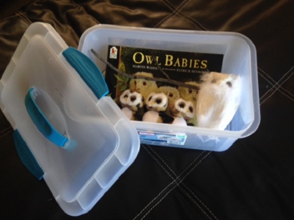 a stick, the book, and the toy owls in a plastic bin