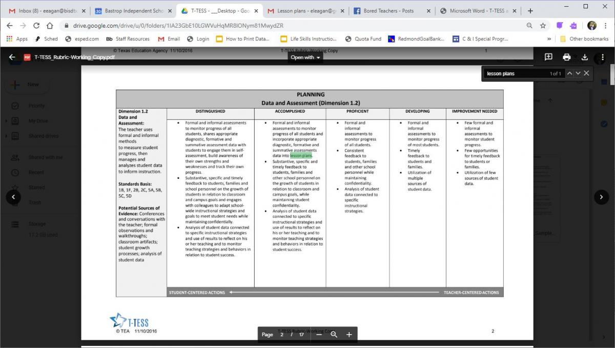 Screenshot of T-TESS rubric with phrase 