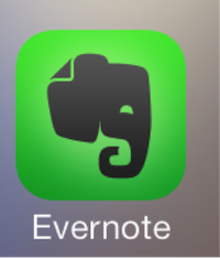 Application icon with shadow of an elephant head