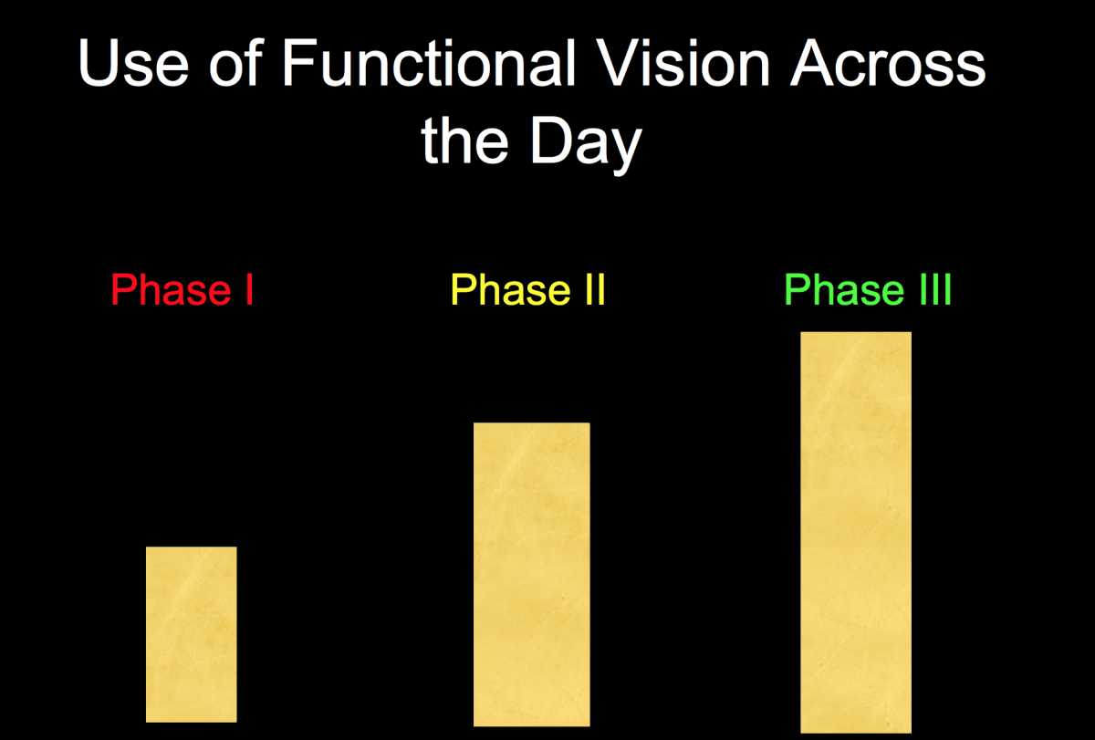 Powerpoint slide: use of functional vision