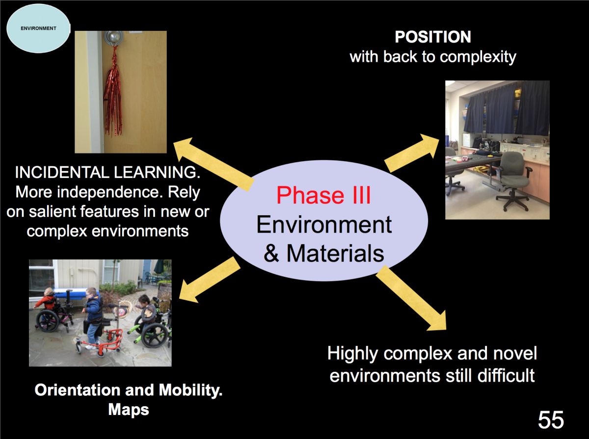 Powerpoint slide: environment and materials