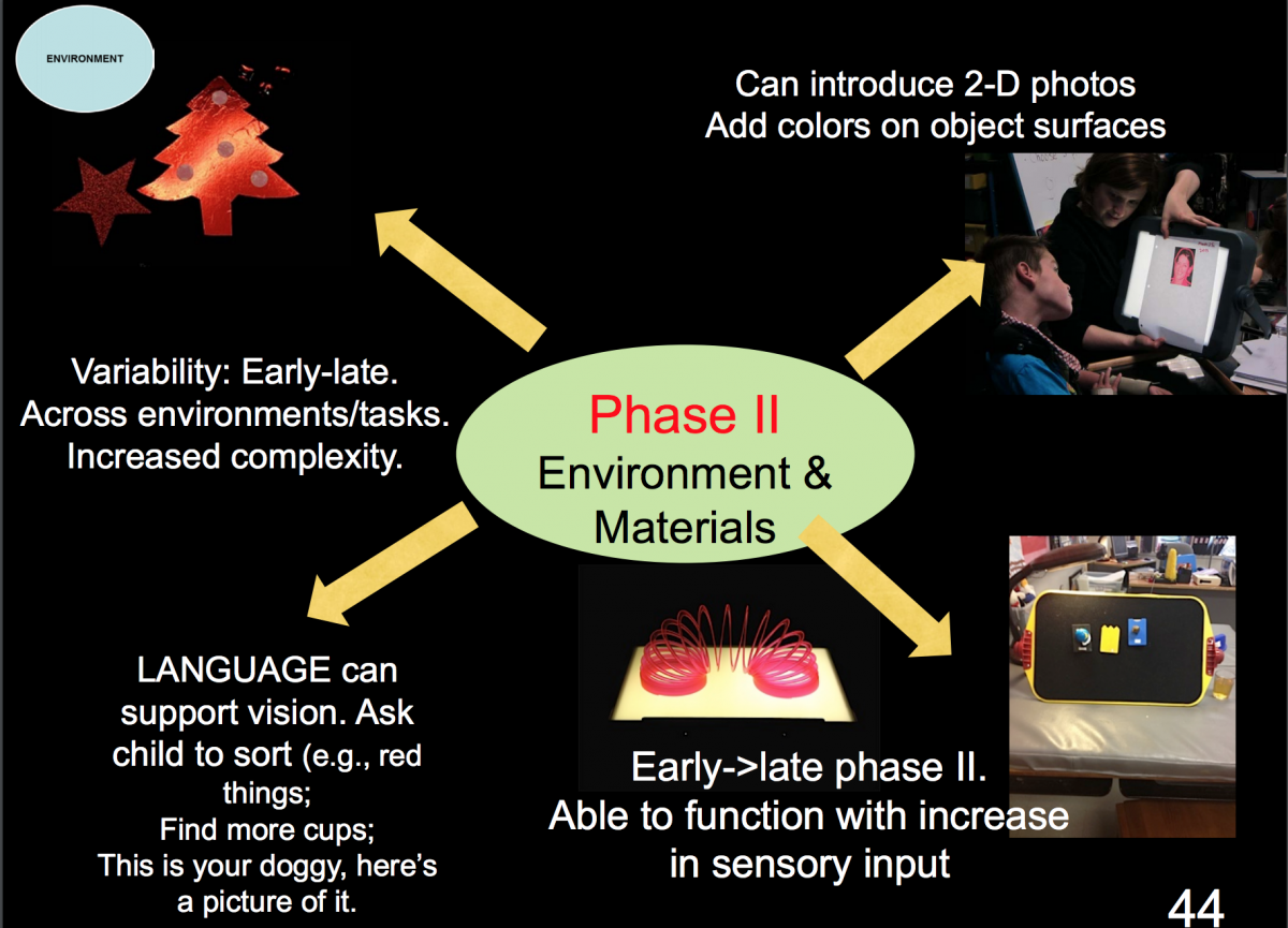 Powerpoint slide:  Phase II: Environment and materials