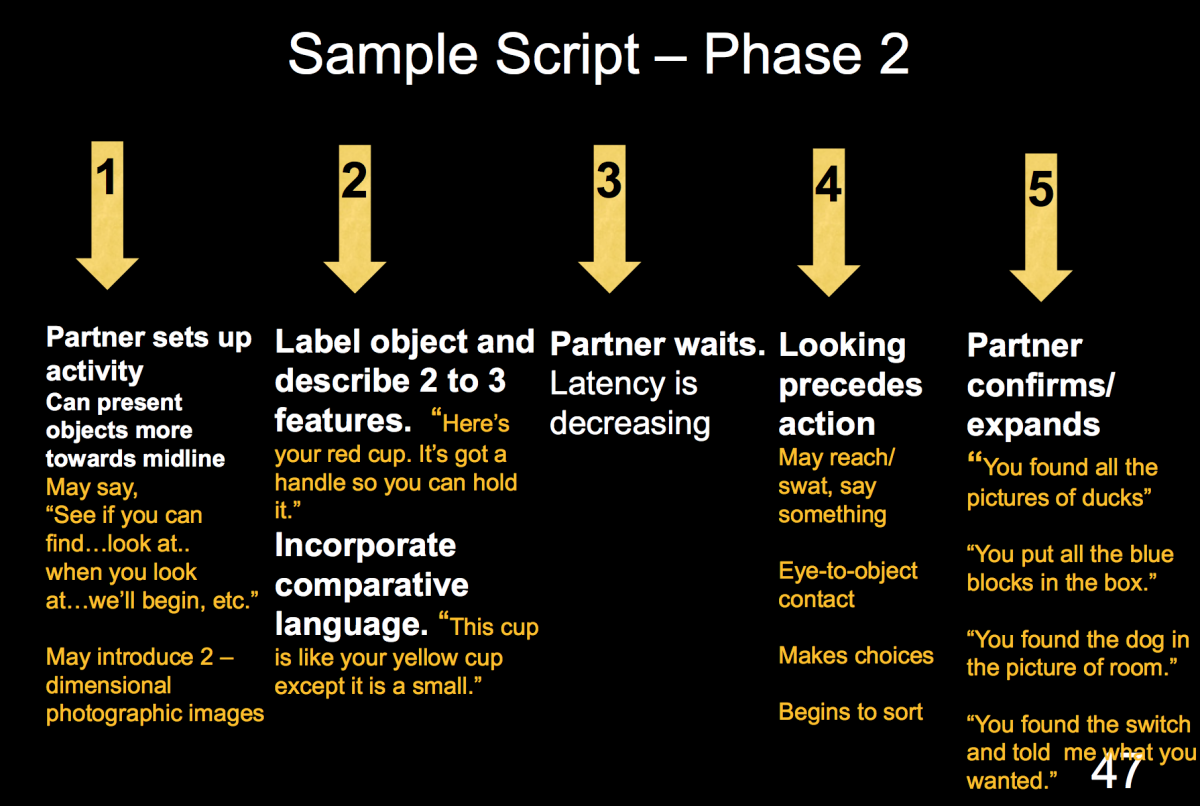 Powerpoint slide:  script Phase II